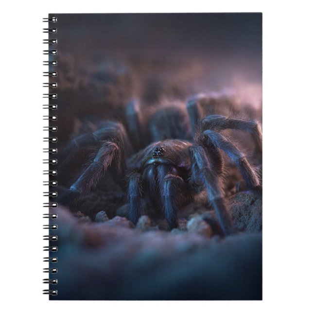 Tarantula Twilight Notebook (Front)