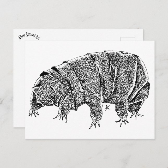 Tardigrade Postcard (Front/Back)