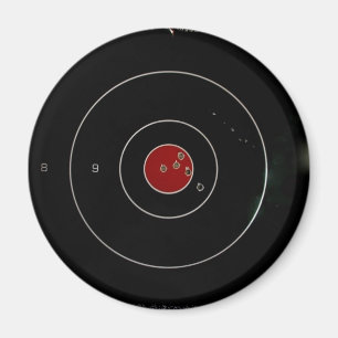 TARGET PRACTICE FUNNY PHRASES 1 MAGNET