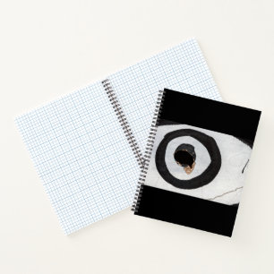 target tears up notebook