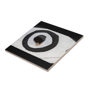 target tears up tile