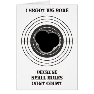 Target with large bullet holes - big bore