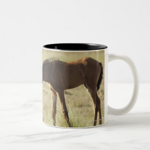 Tarifa, Cadiz, Andalusia, Spain 2 Two-Tone Coffee Mug