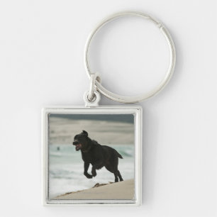 Tarifa, Cadiz, Andalusia, Spain Key Ring