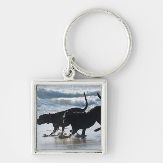 tarifa cadiz andalusia spain key ring (Front)