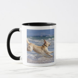 tarifa, cadiz, andalusia, spain mug