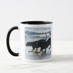 tarifa cadiz andalusia spain mug