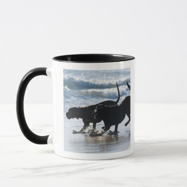 tarifa cadiz andalusia spain mug (Left)