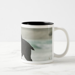 Tarifa, Cadiz, Andalusia, Spain Two-Tone Coffee Mug