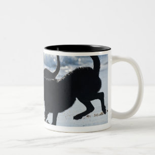 tarifa cadiz andalusia spain Two-Tone coffee mug