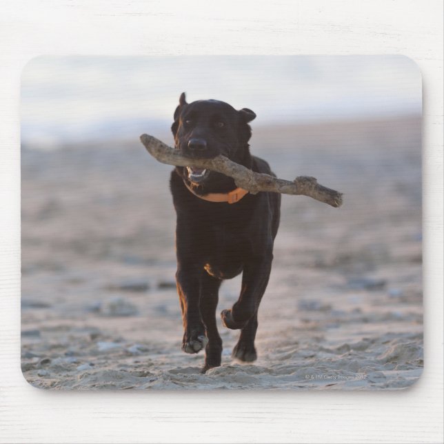 tarifa, cadiz, spain mouse mat (Front)