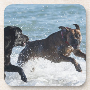 tarifa spain coaster