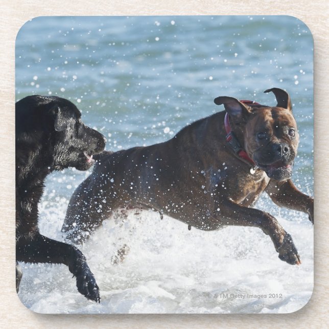 tarifa spain coaster (Front)