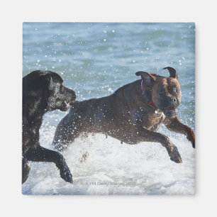 tarifa spain magnet