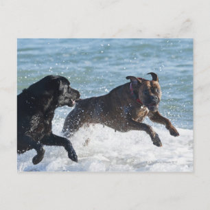 tarifa spain postcard