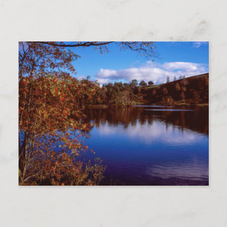 Tarn Hows  bright Autumn day Lake District England Postcard