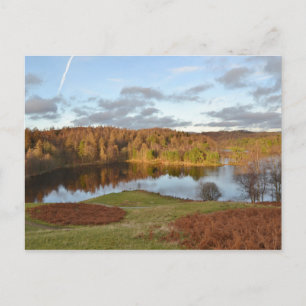 Tarn Hows - English Lake District Postcard