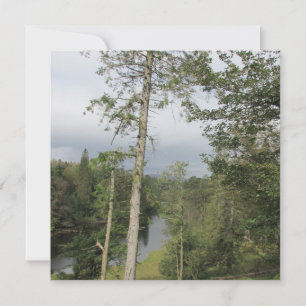 Tarn Hows Trees Flat Greeting Card