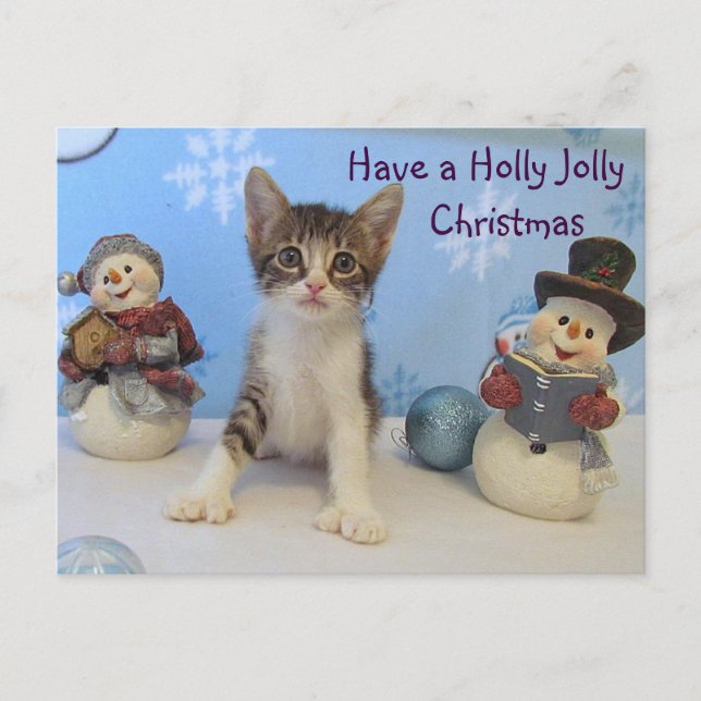 Taromina's Holly Jolly Christmas — Cat / Kitten Holiday Postcard (Front)