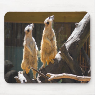 Taronga Western Plains Zoo Dubbo - Meerkat Mouse Mat