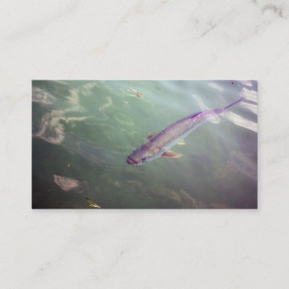 Tarpon Fish Business Card