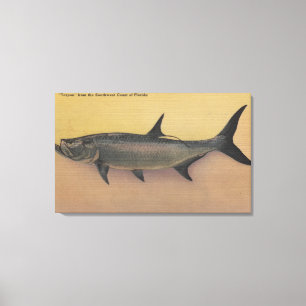 Tarpon Fish from SW Coast of FloridaFlorida Canvas Print