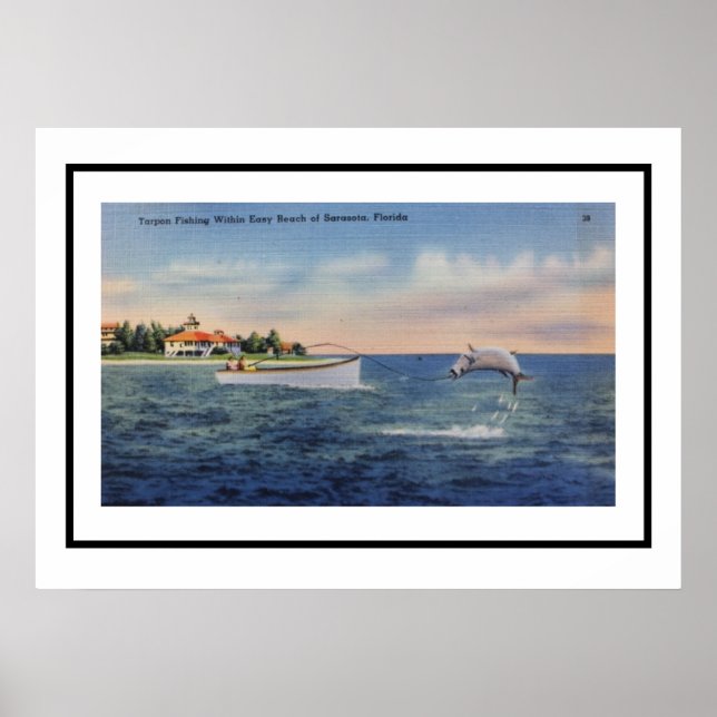 Tarpon Fishing Sarasota 20x28 Poster (Front)