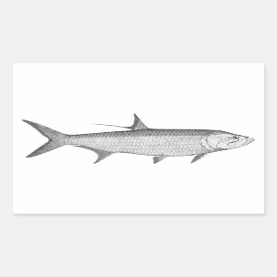Tarpon  Logo  (line art) Rectangular Sticker