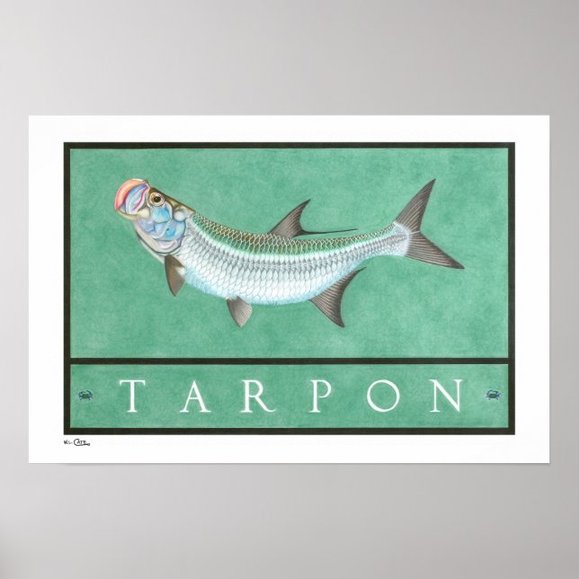 Tarpon Posters, Prints and Frames (Front)