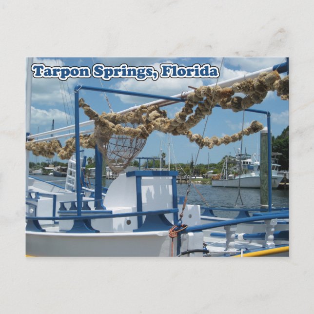 Tarpon Springs Sponge Boat Postcard (Front)