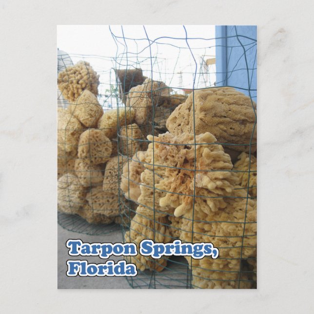 Tarpon Springs Sponges Postcard (Front)