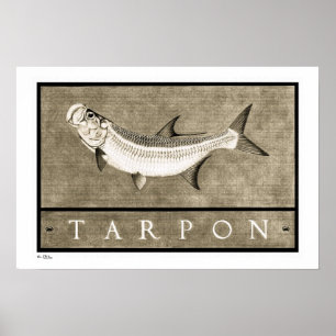 Tarpon Vintage B&W Posters, Prints and Frames