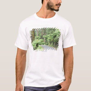 Tarra Bulga National Park, Strzelecki Ranges T-Shirt