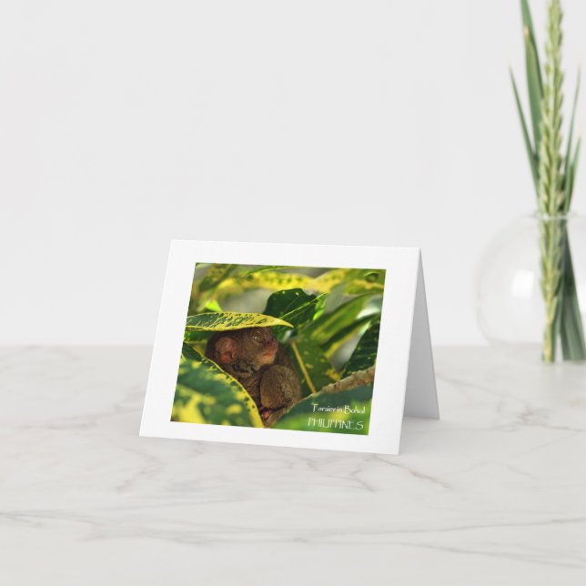 Tarsier in Bohol Note Card (Front)