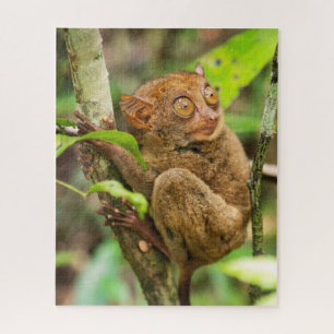 Tarsier Monkey Wildlife Jigsaw Puzzle