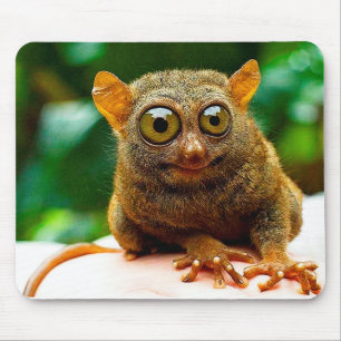 tarsier mouse mat