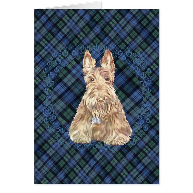 Tartan Scottie (Front)
