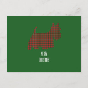 Tartan Scottie on green background Holiday Postcard