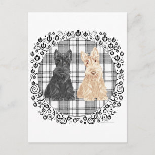 Tartan Scotties Postcard