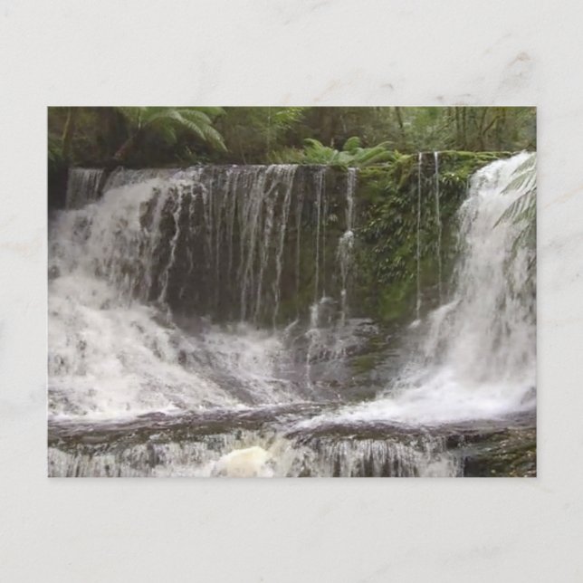 TASMANIA AUSTRALIA WATERFALLS  NATURE RIVERS POSTCARD (Front)