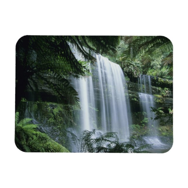 Tasmania, Mt. Field National Park, Russell Falls Magnet (Horizontal)