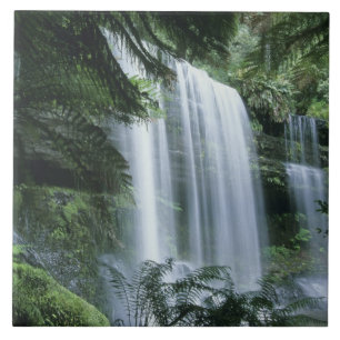 Tasmania, Mt. Field National Park, Russell Falls Tile