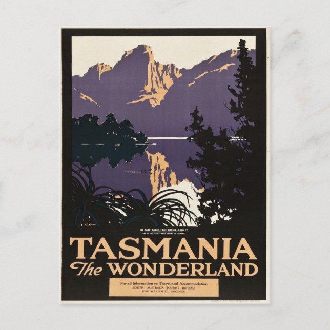 Tasmania The Wonderland Vintage Travel Postcard (Front)