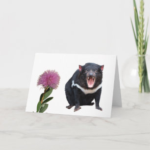 Tasmanian Devil and Bottlebrush    Card