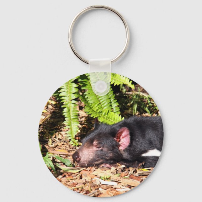 Tasmanian Devil Basking in the Sunlight Key Ring (Front)