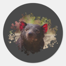 Tasmanian Devil