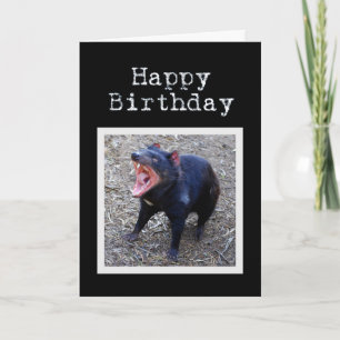 Tasmanian Devil Happy Birthday Card