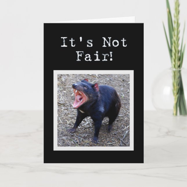 Tasmanian Devil Happy Birthday Humour Card (Front)