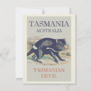 Tasmanian Devil, iconic animal Tasmania Australia Postcard