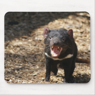 Tasmanian Devil Mouse Mat